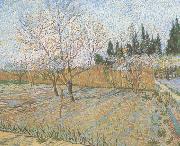 Vincent Van Gogh Orchard with Peach Trees in Blossom (nn04) Sweden oil painting artist